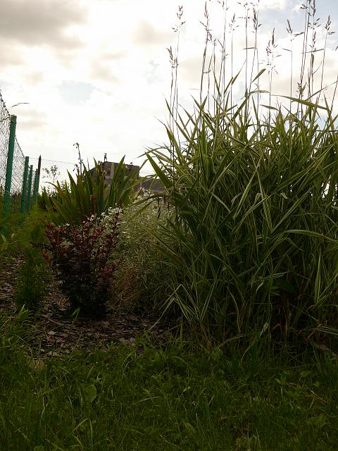 P1210701.JPG