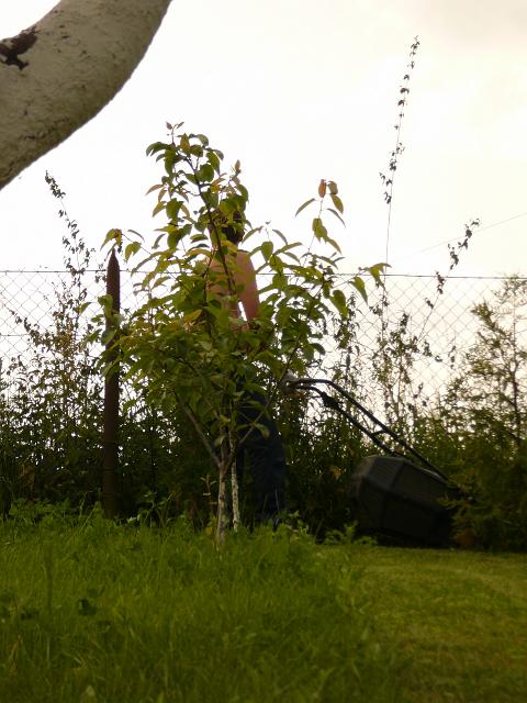 P1220586.JPG