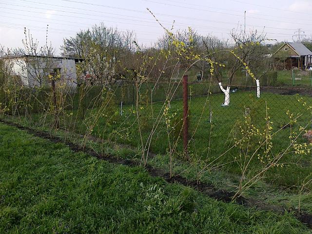 19042010172.jpg