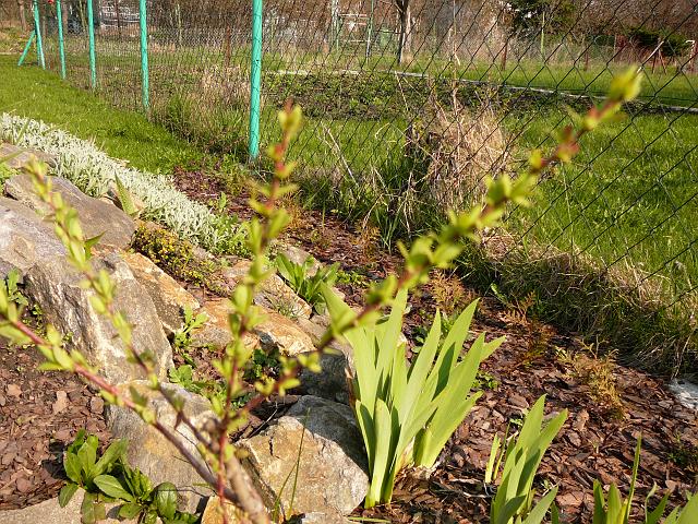 P1190511.JPG
