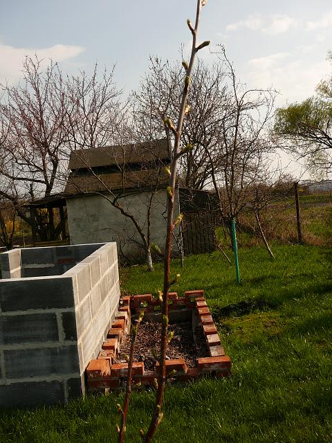P1190520.JPG
