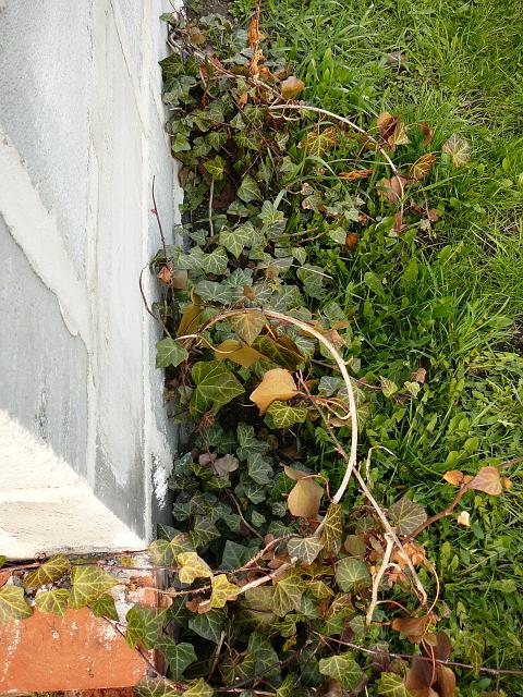 P1190530.JPG