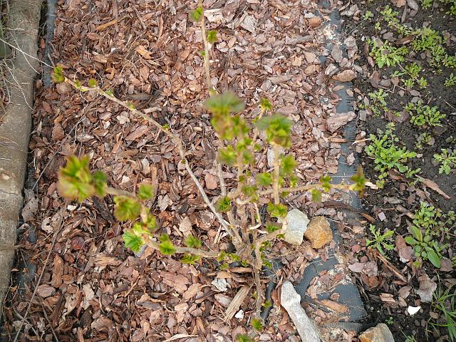 P1190536.JPG