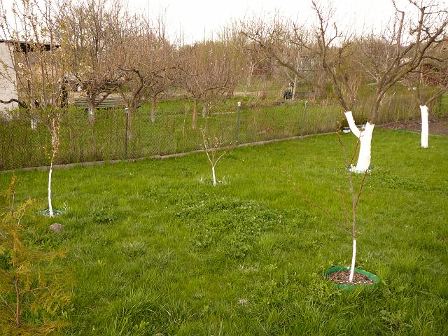 P1190716.JPG