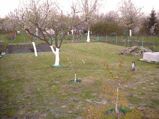 P1190883.JPG