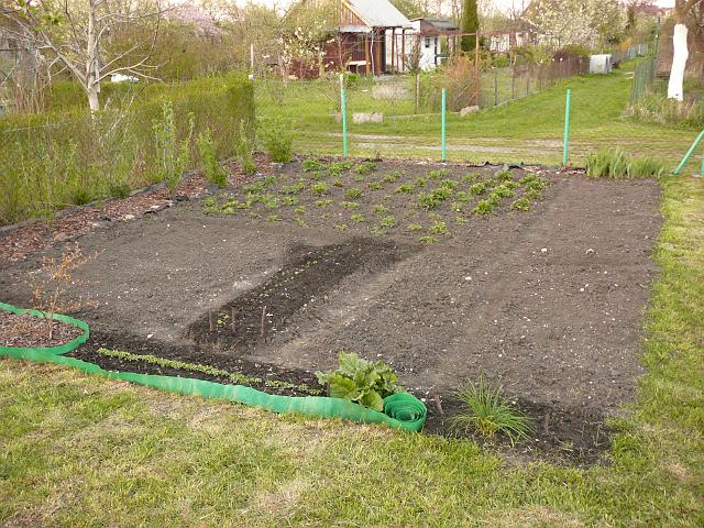 P1190888.JPG
