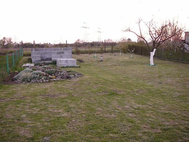 P1190911.JPG