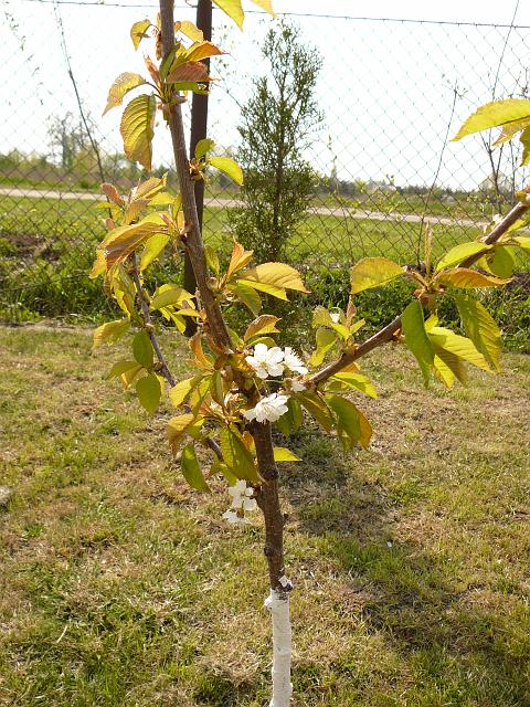 P1190950.JPG