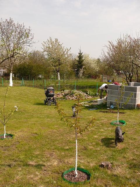 P1190954.JPG