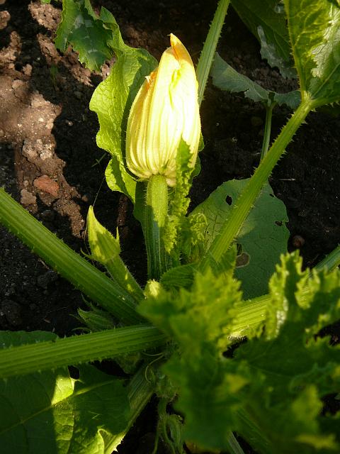 P1220917.JPG
