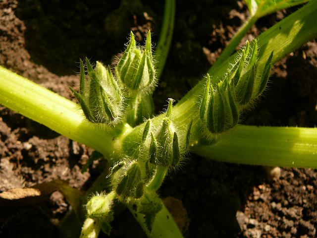 P1220920.JPG