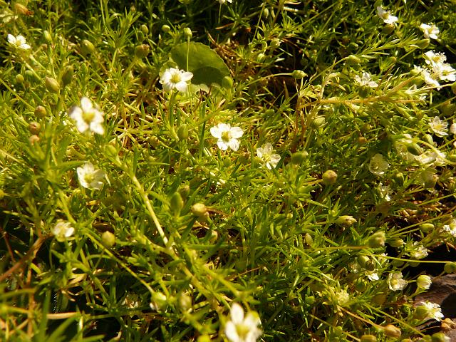 P1220935.JPG