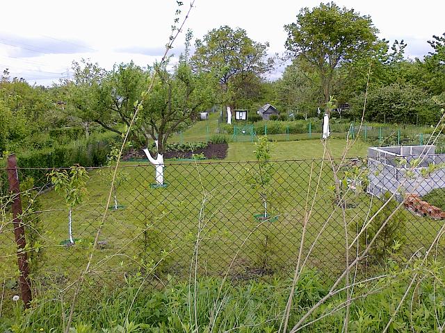 15052010225.jpg
