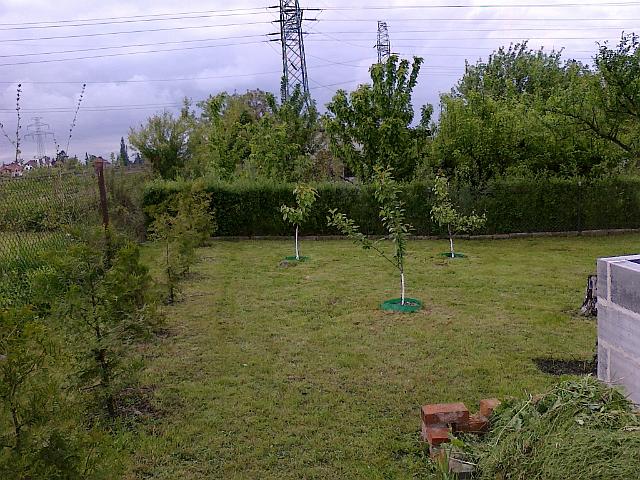 15052010228.jpg