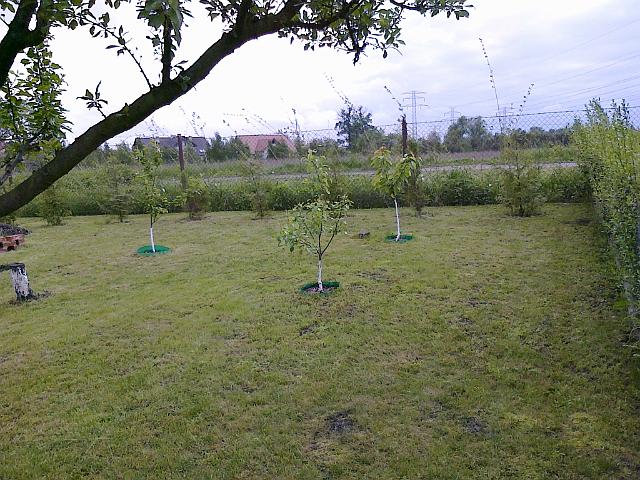 15052010233.jpg