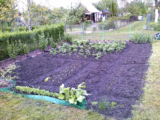 15052010236.jpg