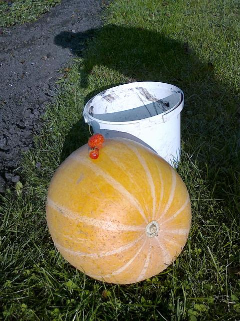 03102010456.jpg