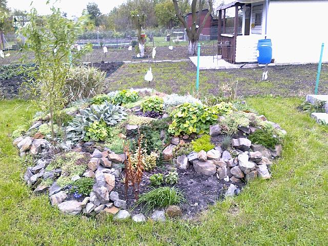 03102010459.jpg