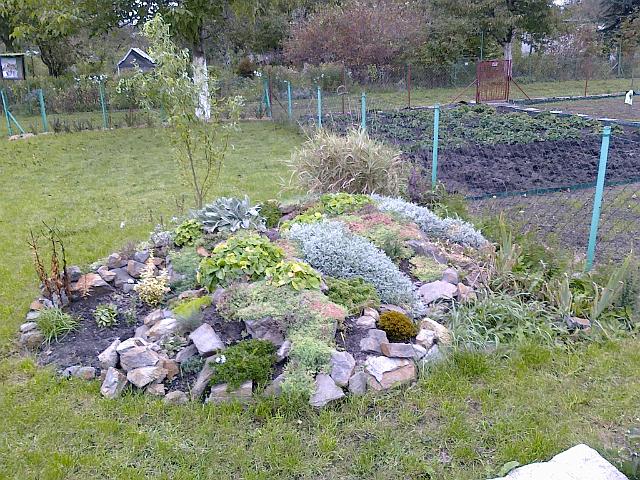 03102010460.jpg