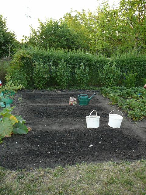 P1290326.JPG