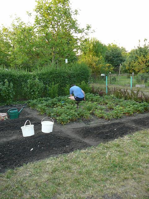 P1290327.JPG