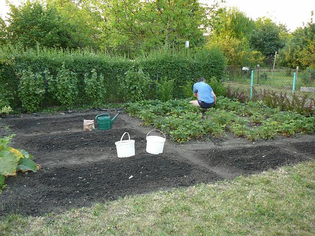 P1290328.JPG