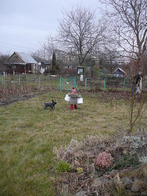 P1310373.JPG