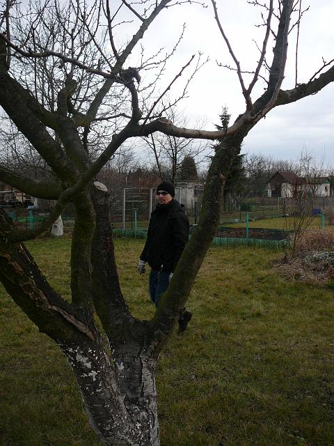 P1310425.JPG