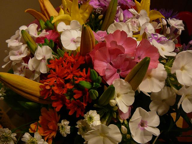 P1290716.JPG
