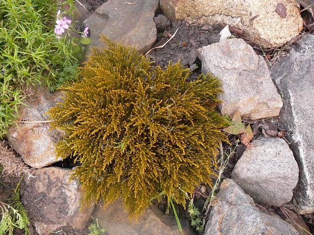 P1290058.JPG