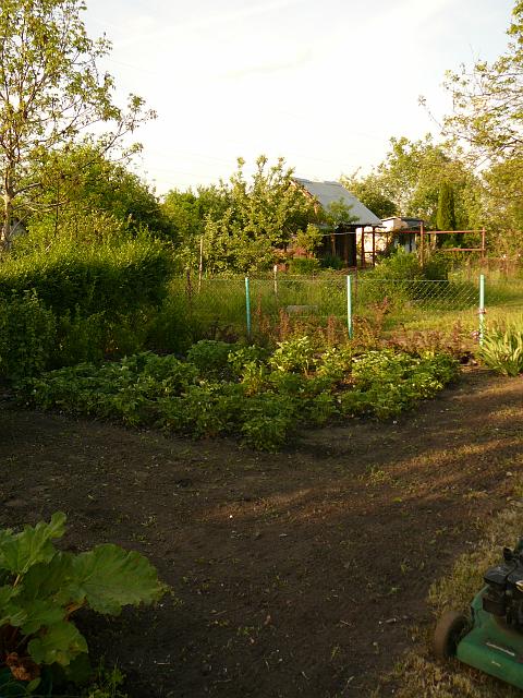 P1290136.JPG