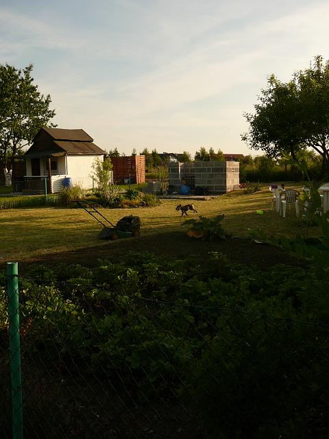P1290163.JPG