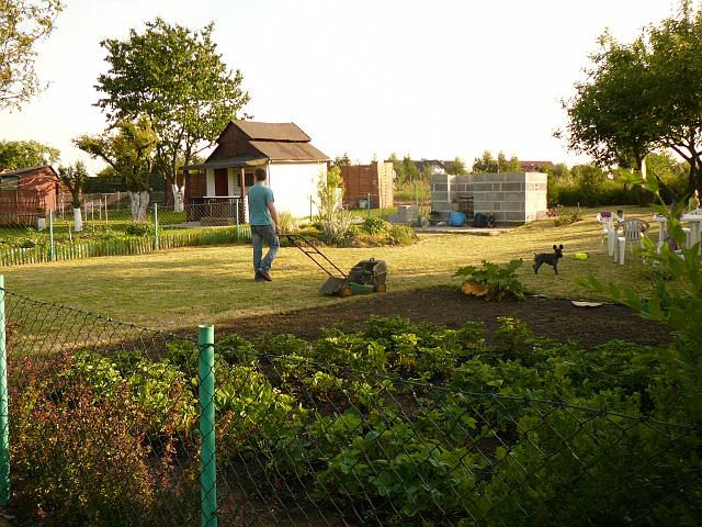 P1290164.JPG