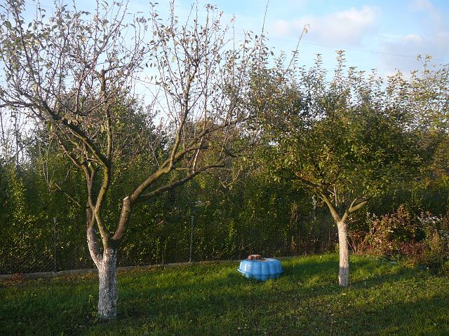 P1300634.JPG
