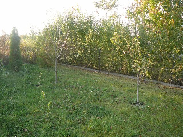 P1300637.JPG
