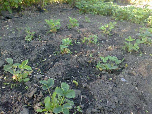 20120602256.jpg