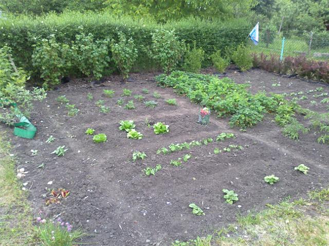20120608276.jpg