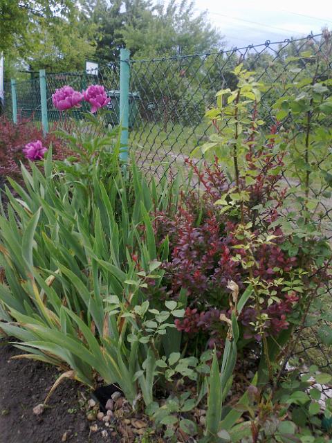 20120608283.jpg