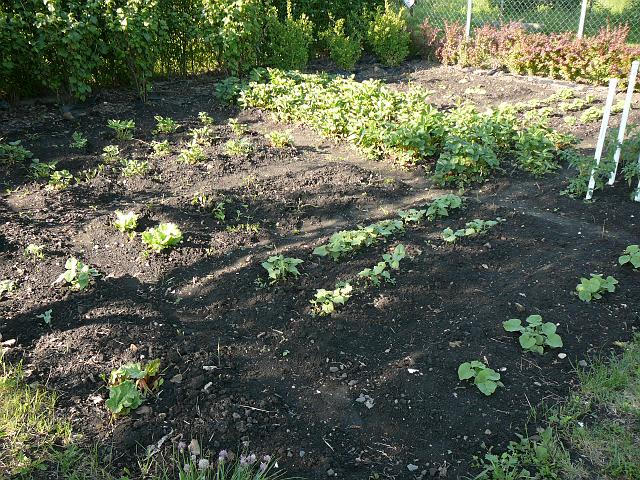 P1350503.JPG