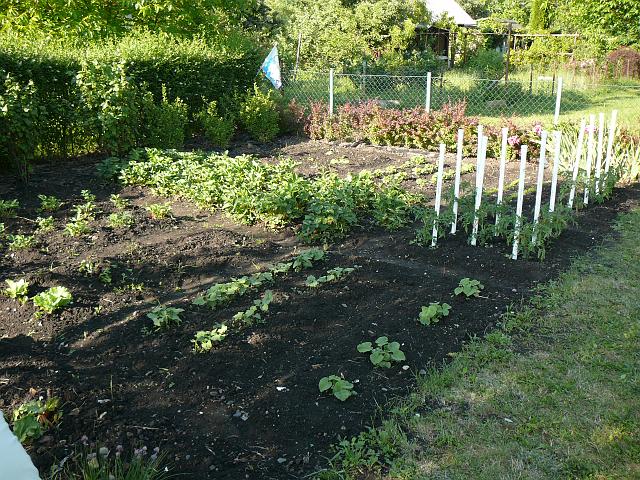 P1350507.JPG