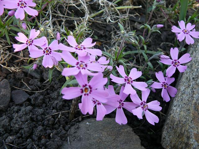 P1330842.JPG