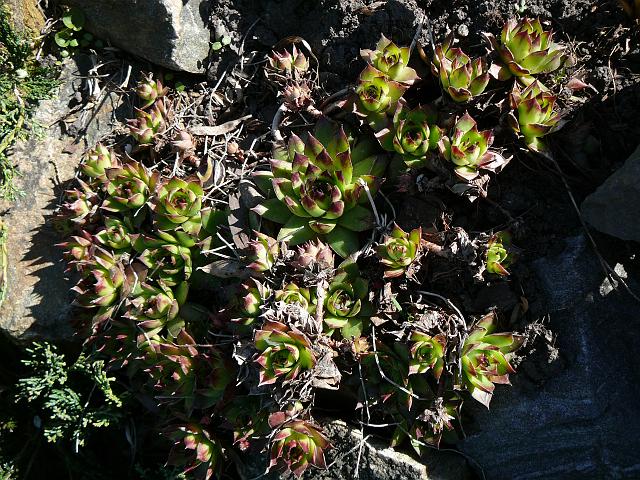 P1330858.JPG