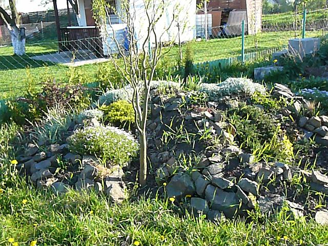 P1330898.JPG