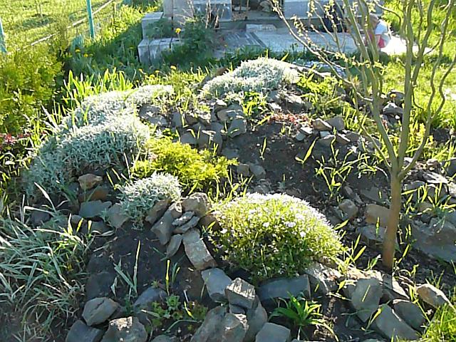 P1330902.JPG