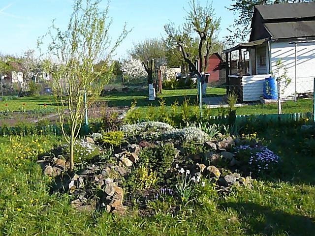 P1330906.JPG