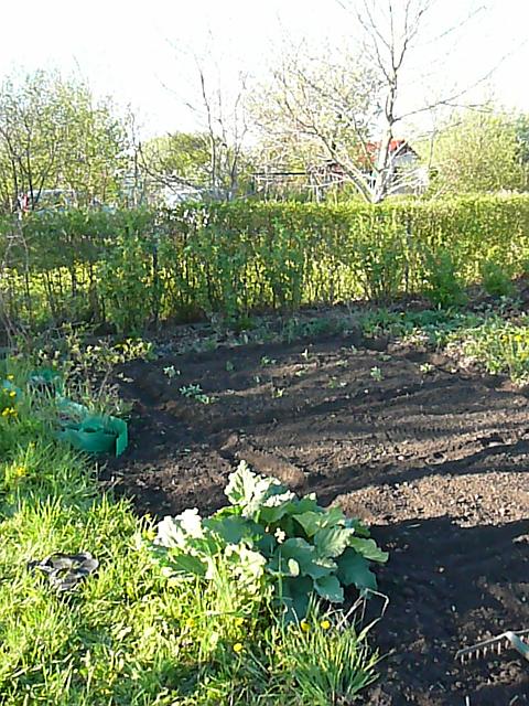 P1330908.JPG