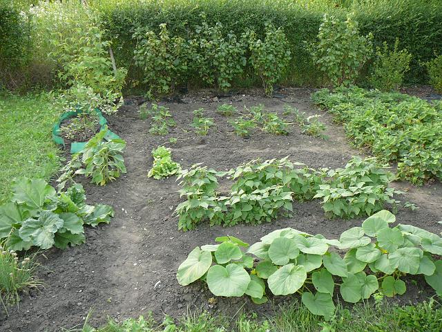 P1360505.JPG