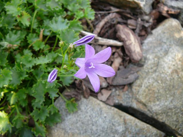 P13609871.jpg