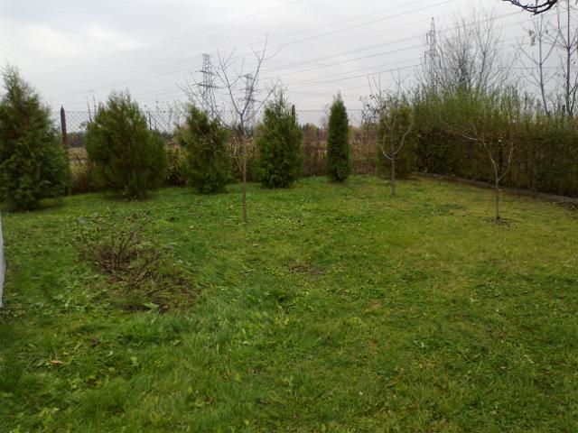 20121104498.jpg