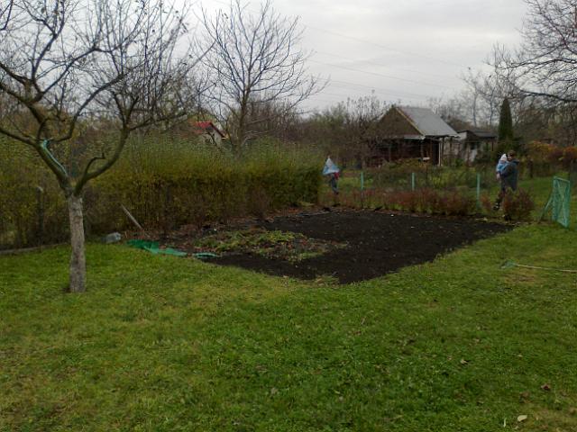 20121104500.jpg